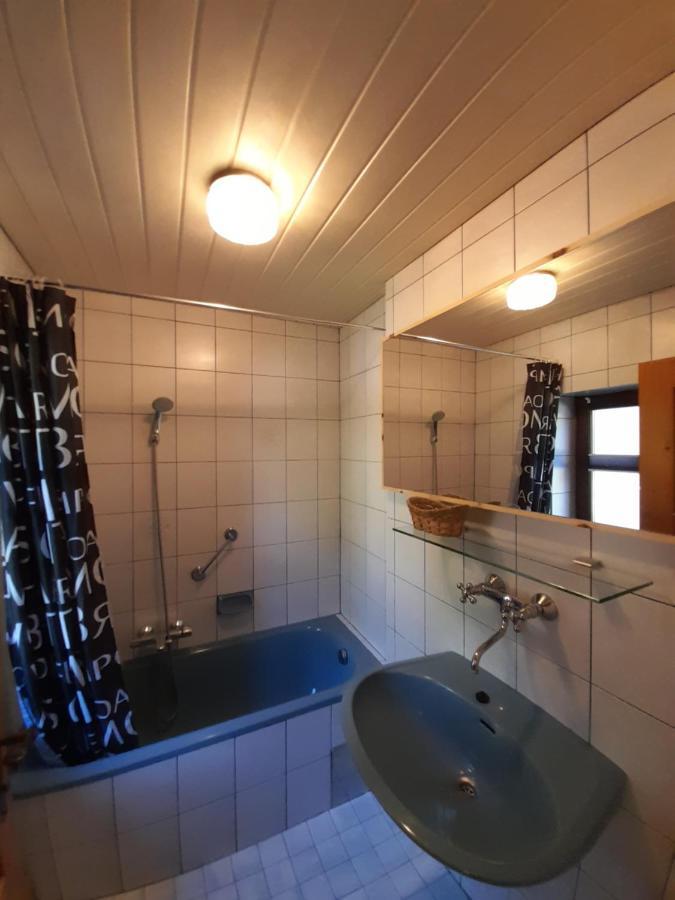 Ferienwohnung Bio Bauernhof - Mini Shetland Ponyhof Almbauer Waidhofen an der Ybbs Exterior foto