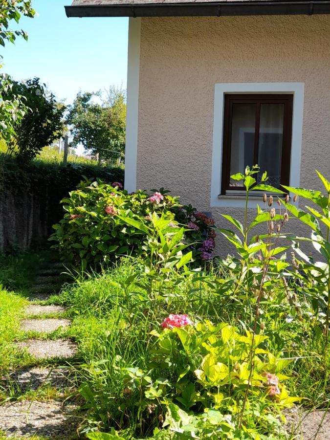 Ferienwohnung Bio Bauernhof - Mini Shetland Ponyhof Almbauer Waidhofen an der Ybbs Exterior foto