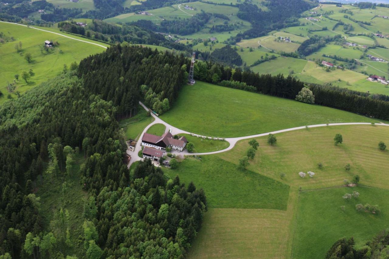 Ferienwohnung Bio Bauernhof - Mini Shetland Ponyhof Almbauer Waidhofen an der Ybbs Exterior foto